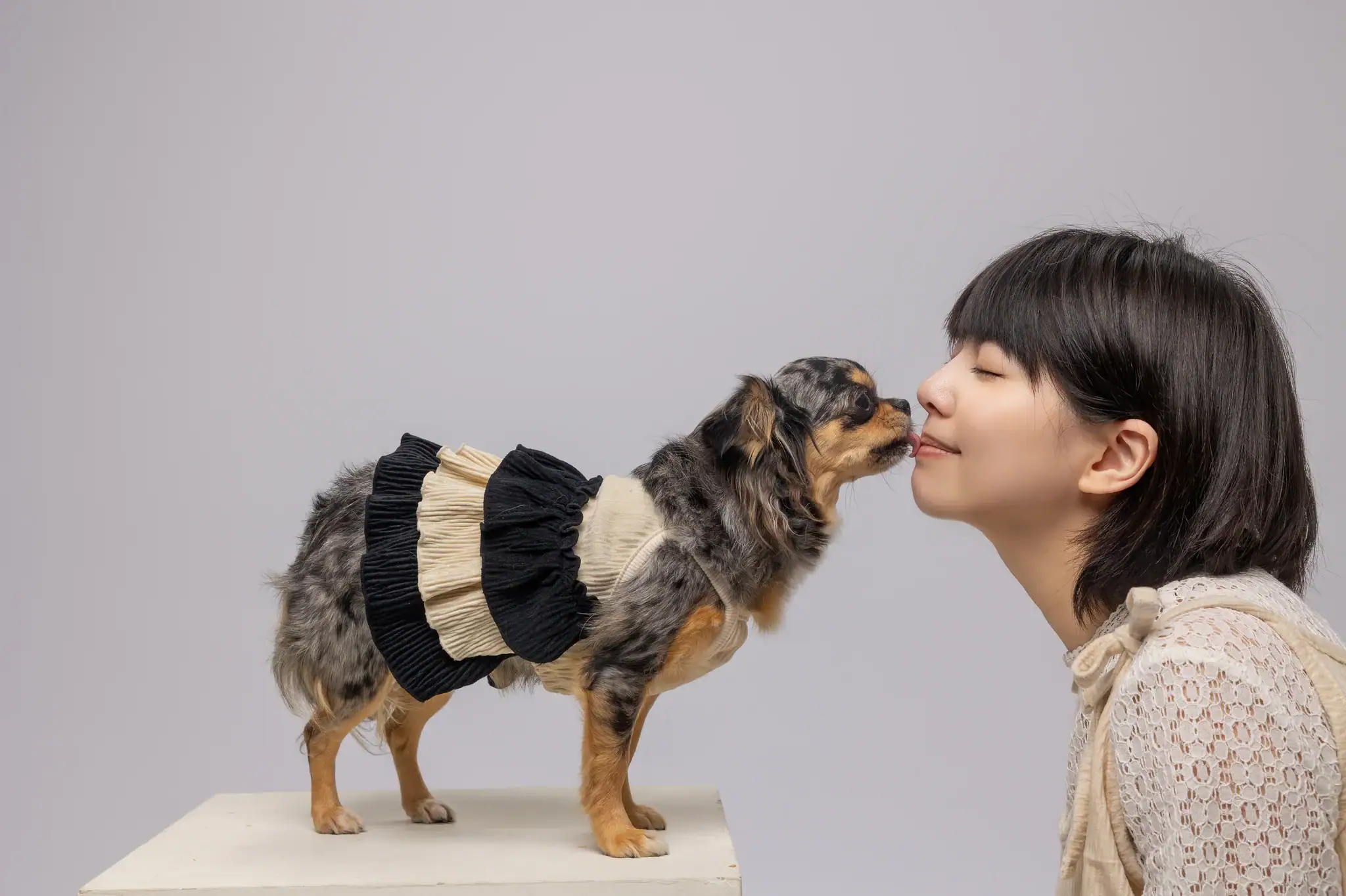另一隻灰斑短毛吉娃娃穿著同色系服裝，站在白色方塊上輕舔 Lisa 鼻尖，Lisa 閉眼享受這份甜蜜，背景為淺灰色。